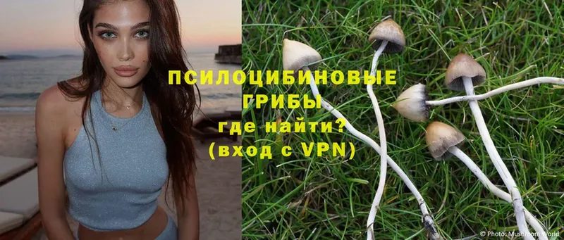 Галлюциногенные грибы Magic Shrooms  omg ссылки  Абинск  наркотики 